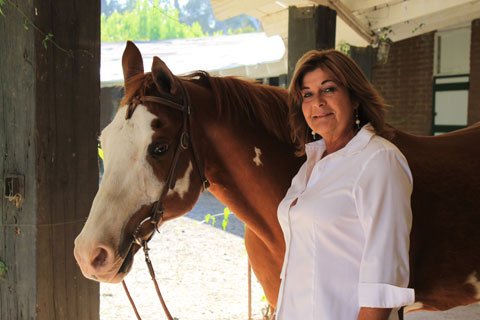 Sweet Relief Equine Massage - Darcie Loescher